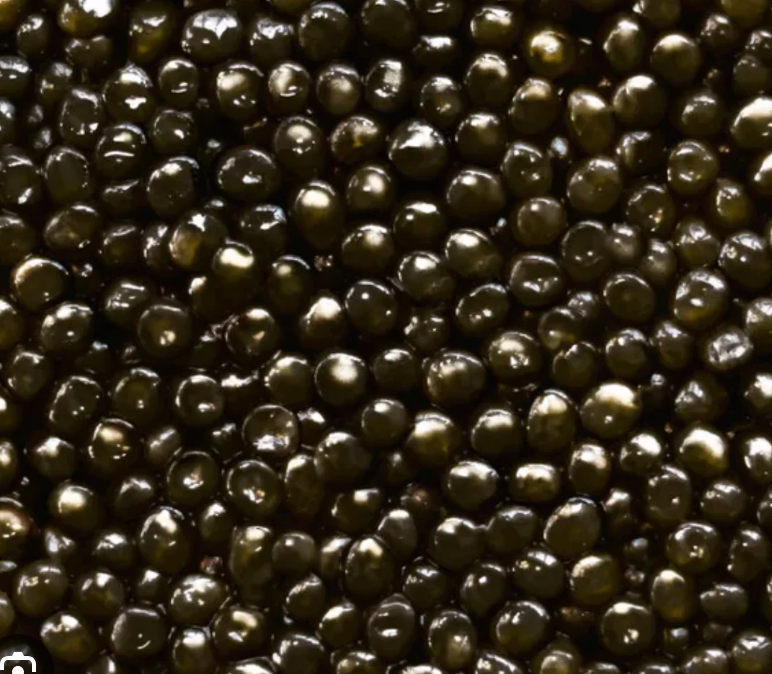 Beluga Hybrid Caviar