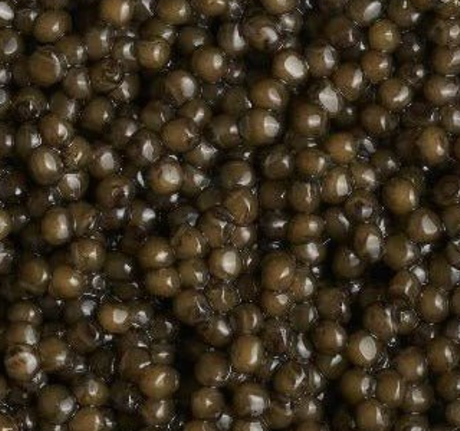 Russian Osetra