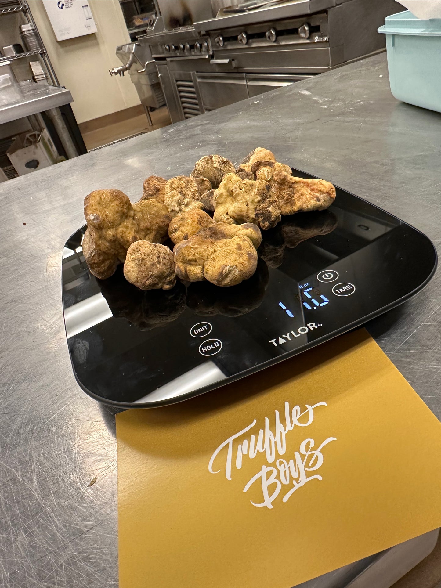White Abruzzese Truffle